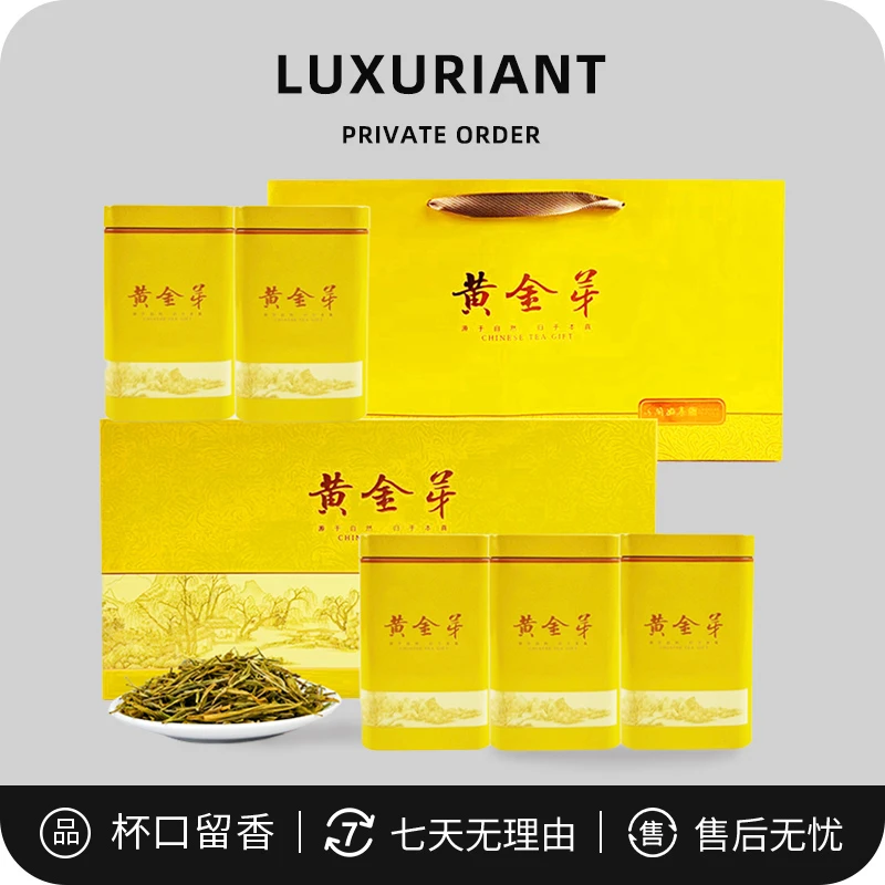 黄金芽 5罐礼盒茶 新茶 春茶绿茶 送长辈 过年送礼茶叶2024