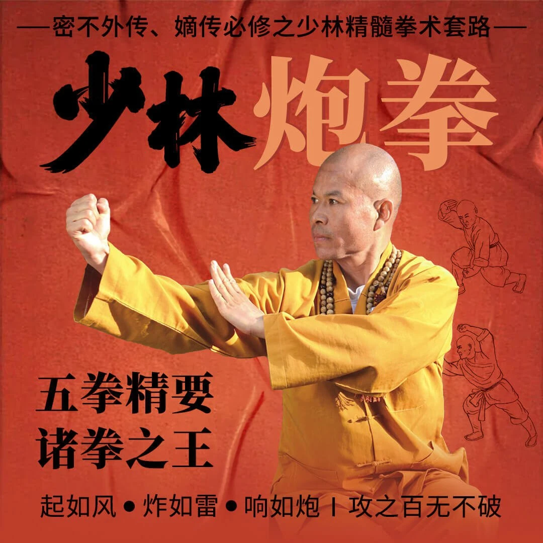 少林炮拳 五拳精要 诸拳之王 嫡传必修之少林精髓拳术套路视频课