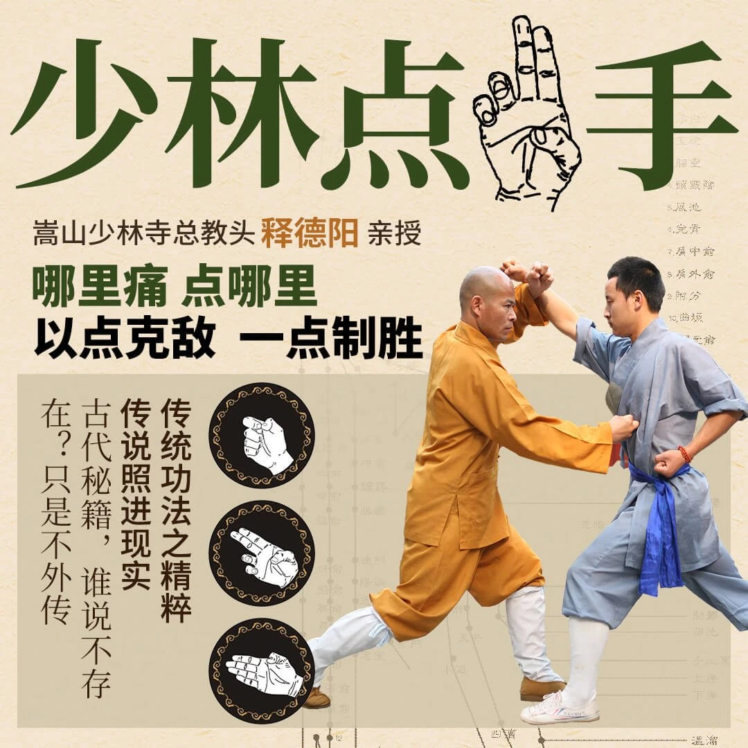 少林密宗点x手 教程零基础新手初学入门到实战搏击武术格斗功夫