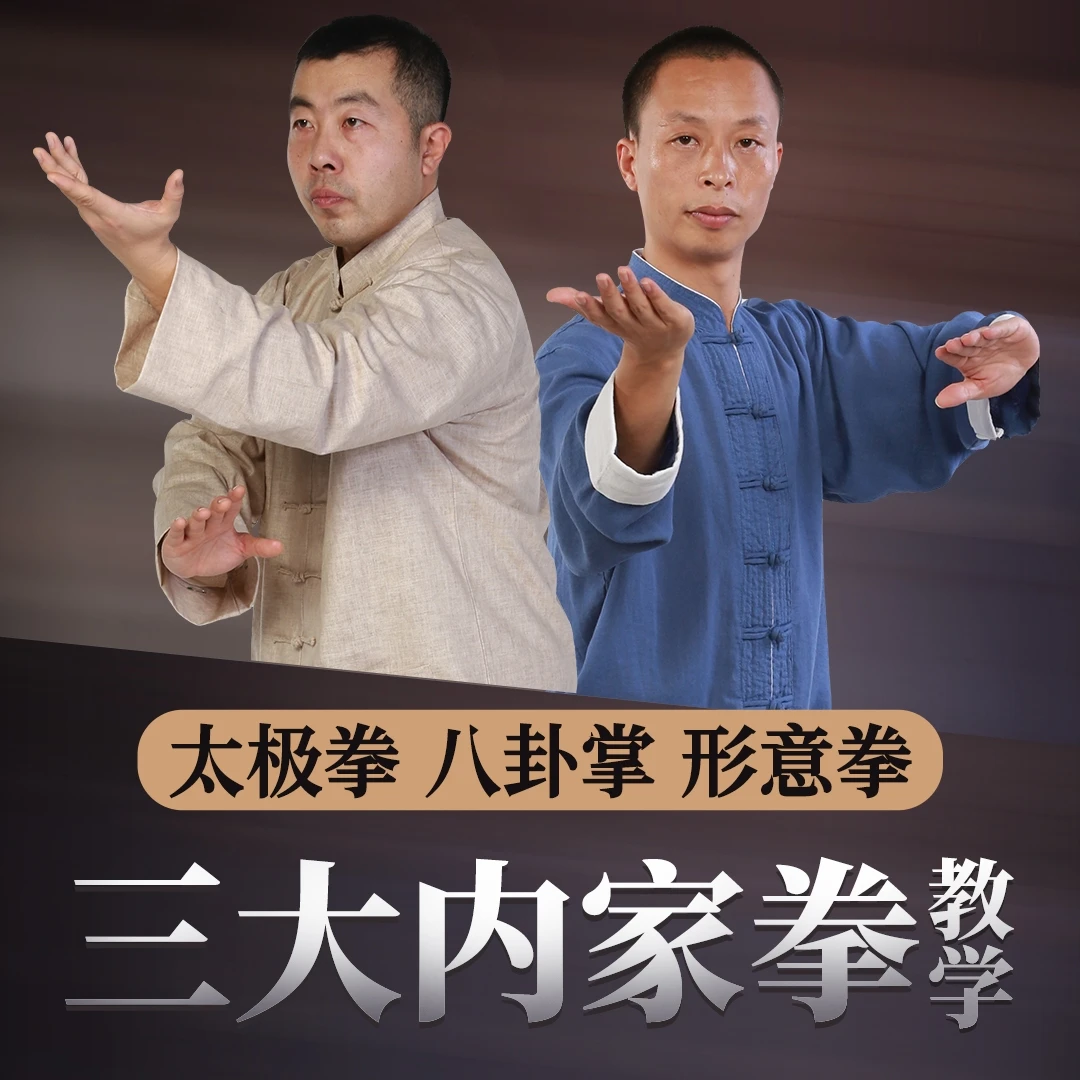 中国三大内家拳太极八卦形意武术传武教学
