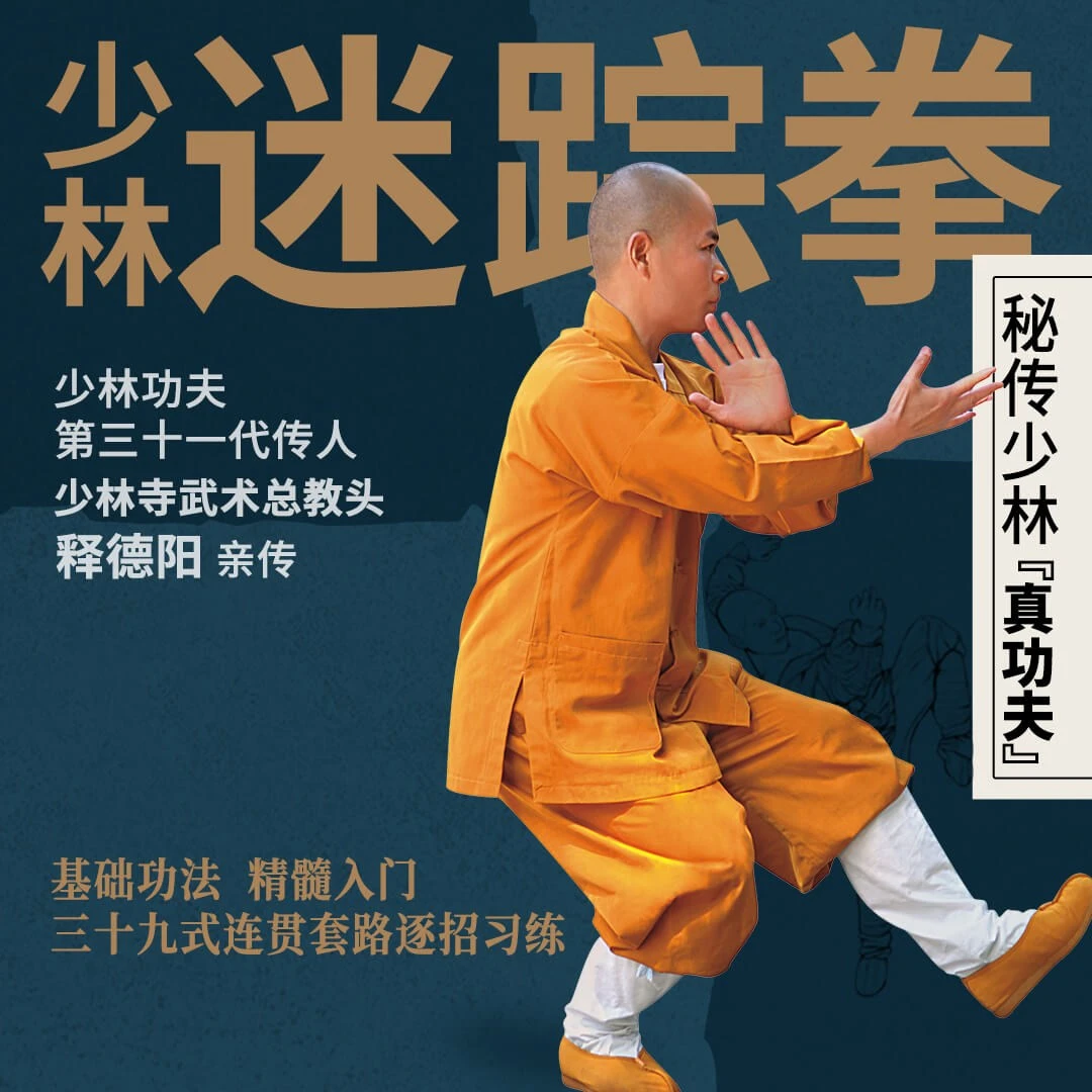 少林迷踪拳视频自学教程少林总教头释德扬独家功夫格斗实战武术