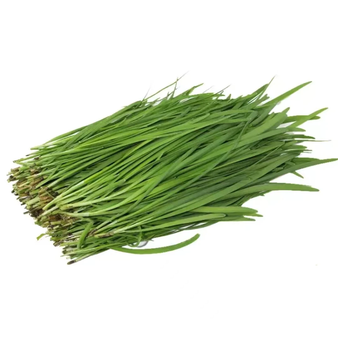 【弘茂农场】安心韭菜2斤味道美味自然生长