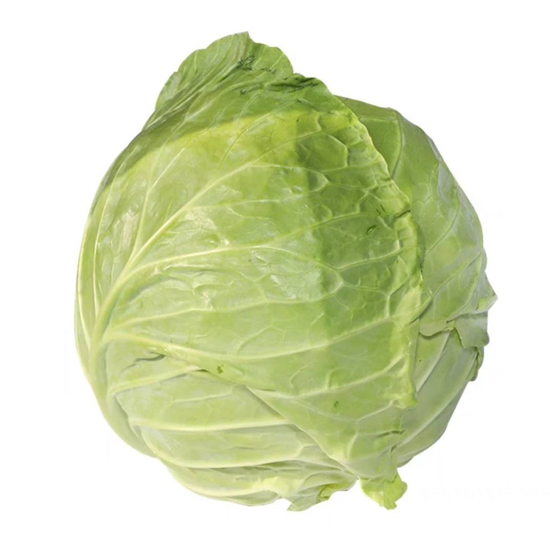 【弘茂农场】新鲜绿洋白菜露天种植清炒凉拌时令蔬菜