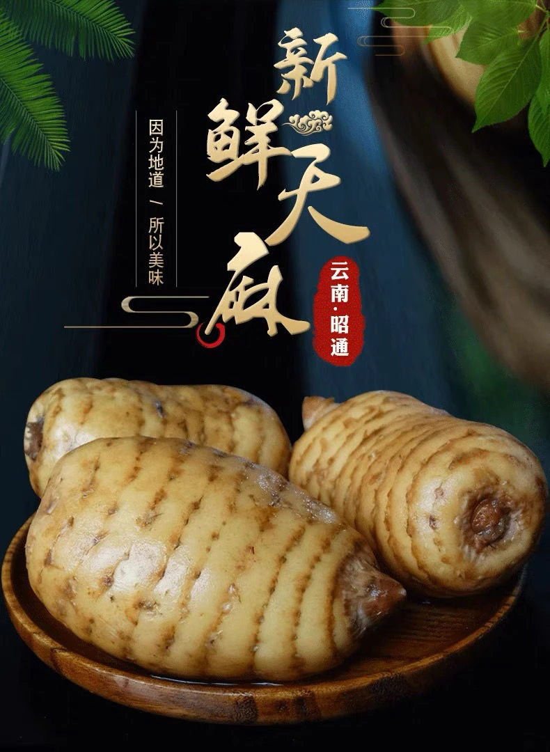 云南昭通天麻小草坝乌天麻血红天麻绿天麻仿野生天麻原产地天麻