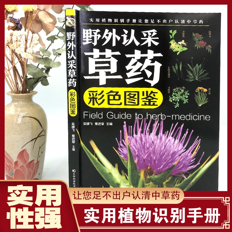 野外认采草药彩色图鉴大开本实用植物识别手册让足不出户认清草药