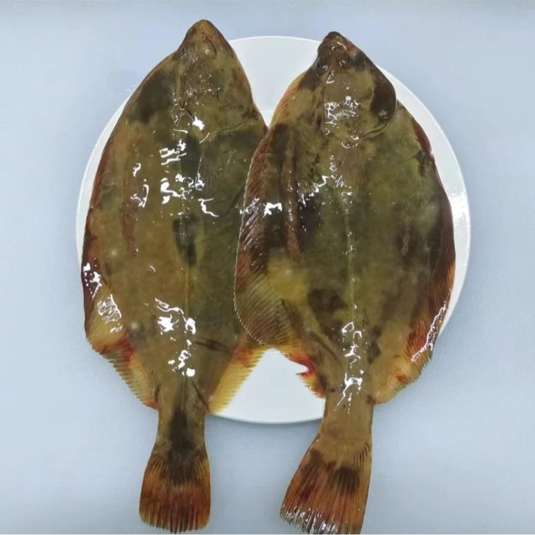 石浆鱼 深海野生海捕 速冻锁鲜发货  一条装