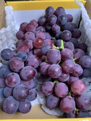 刚上市的新货，巨峰葡萄一斤