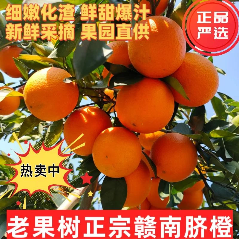 10斤江西正宗赣南脐橙新鲜采摘果园直供当季水果孕妇小孩香甜多汁