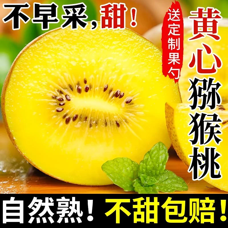 [坏果包赔] 江西金密奇异果黄心猕猴桃香甜营养新鲜水果100-180克