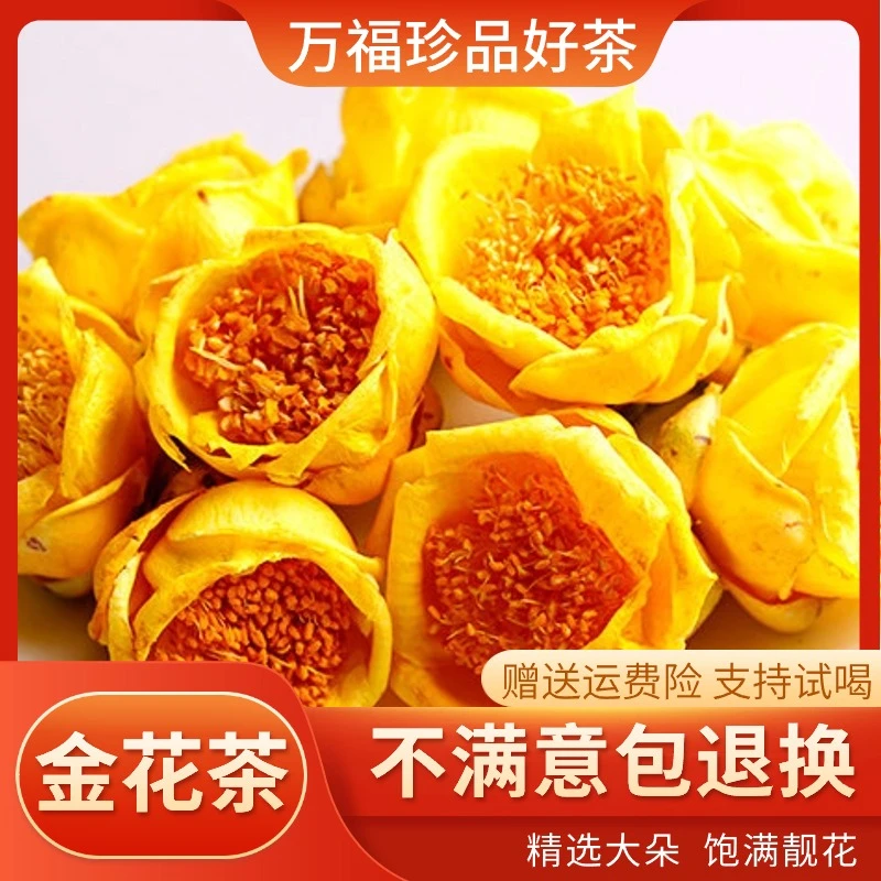 [大朵金花茶]广西十万大山珍稀植物