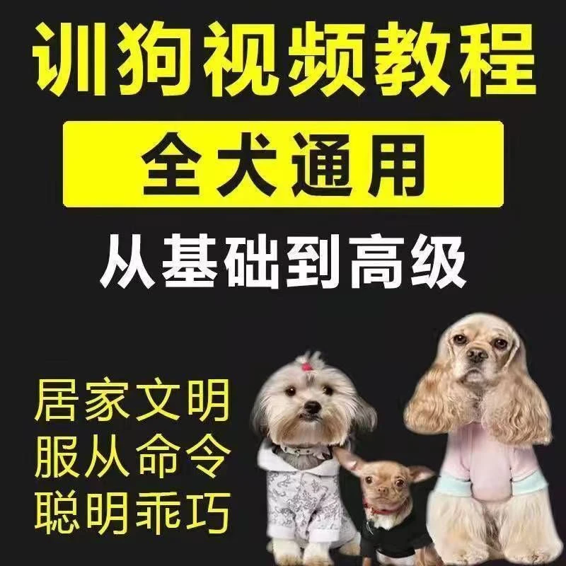 训狗教程视频课程泰迪金毛哈士奇马犬拉不拉多零基础训犬视频课程
