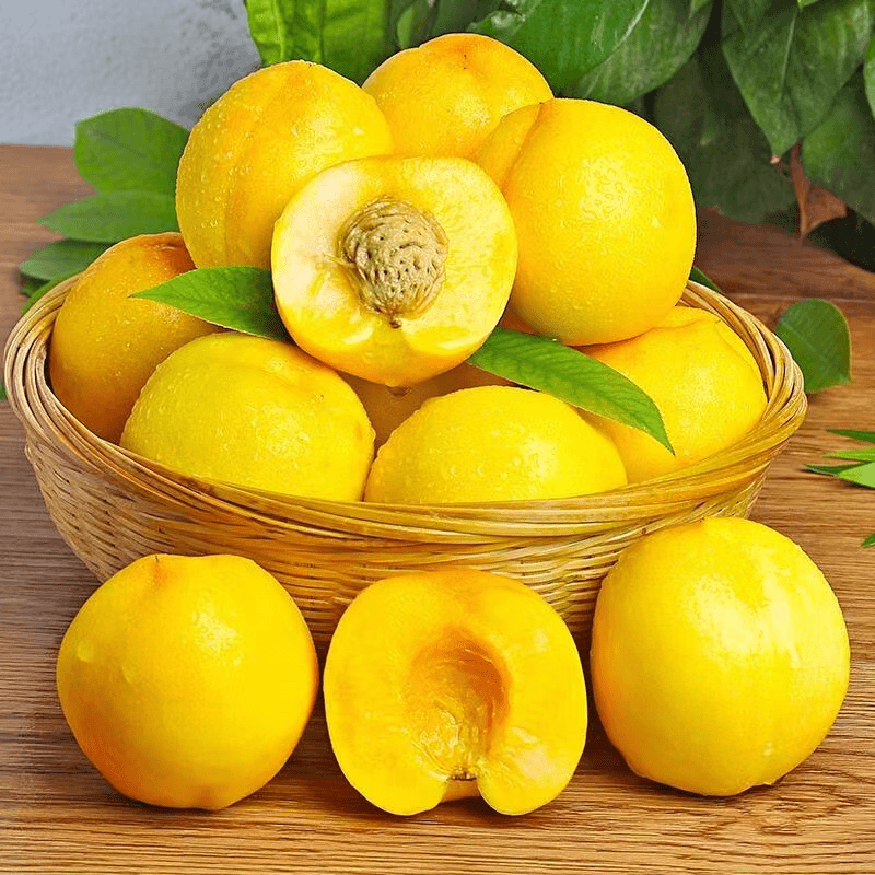 蒙阴蜜桃山东蒙阴黄金油桃果园现摘黄金油桃2/3/5斤饱满脆甜鲜嫩