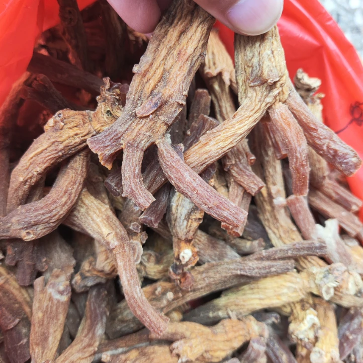 【龙爪！高丽参】好物推荐