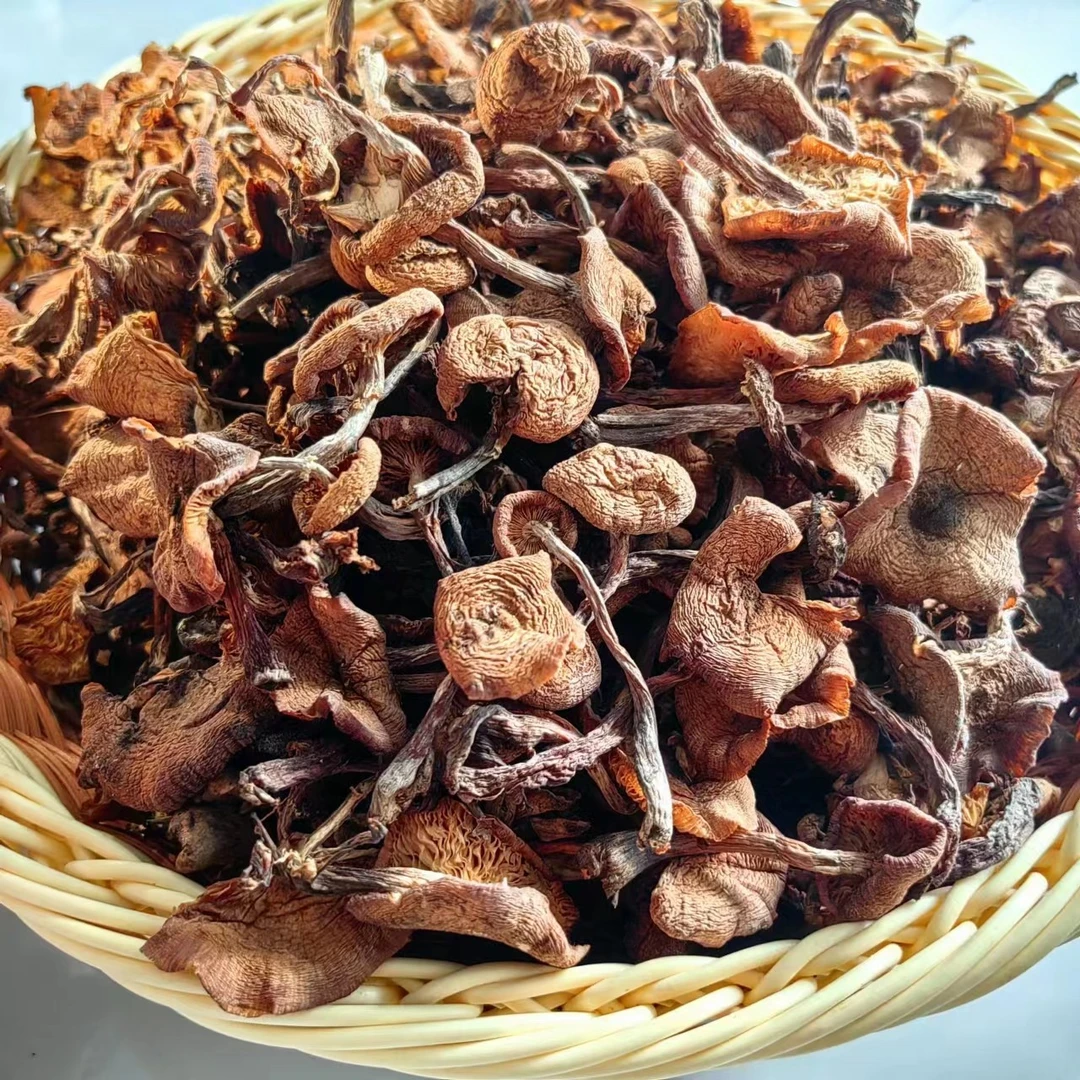 深山野生原生态干类榛蘑顺丰包邮