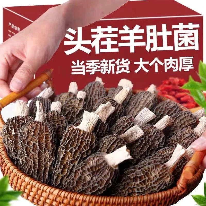【半斤特价】3-7 羊肚菌 精品菇 头茬手选! 250g
