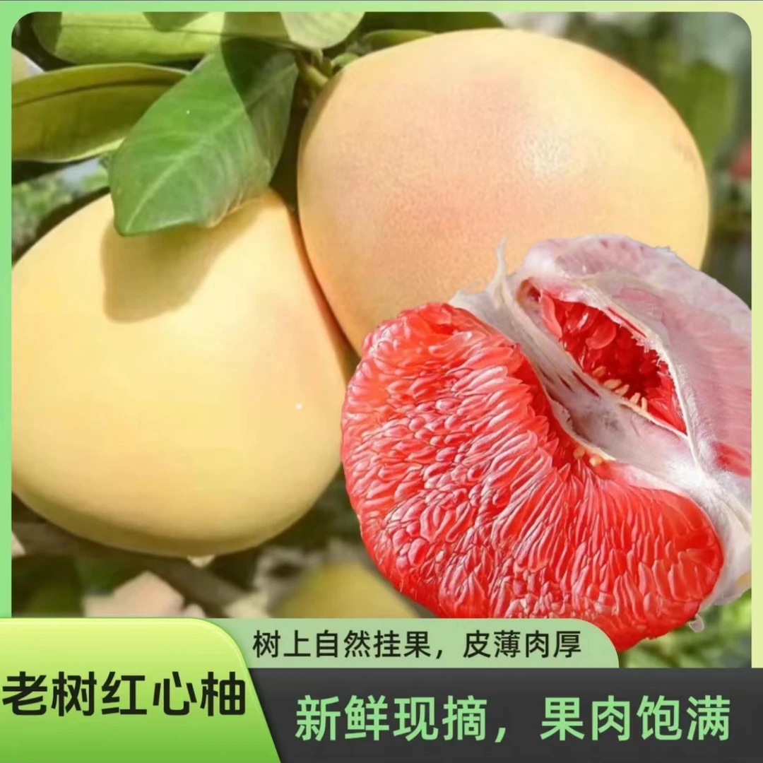【粉丝专属】正宗平和琯溪蜜柚红心柚子当季新鲜水果红肉柚子孕妇