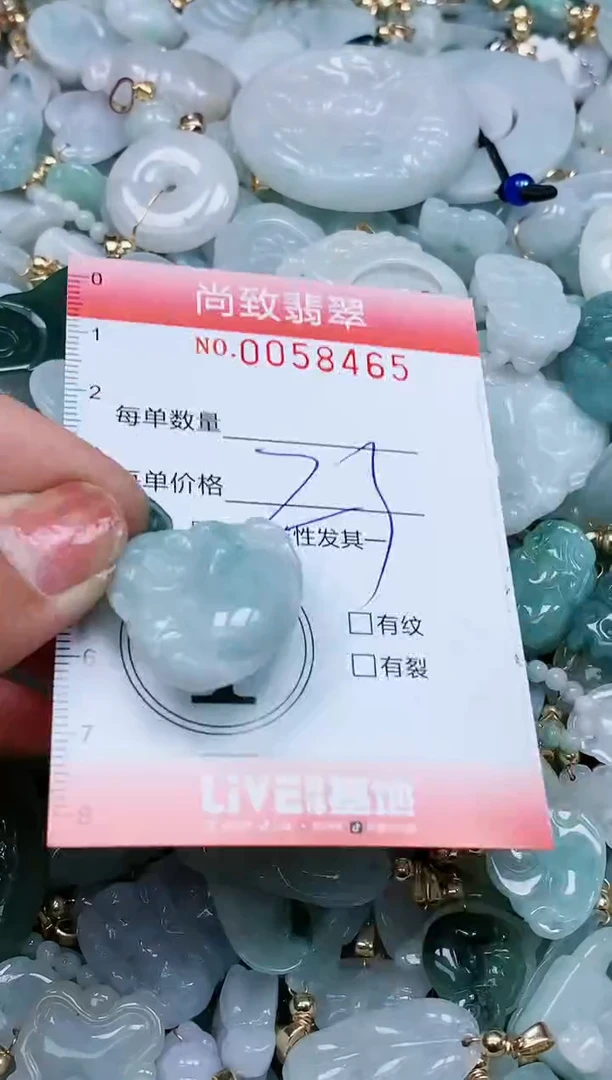 【闪购商品】翡翠颈饰未镶嵌闪购0058465
