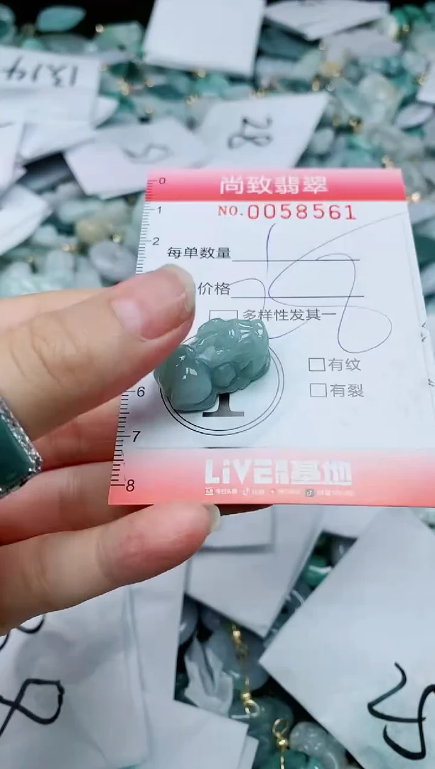 【闪购商品】翡翠颈饰未镶嵌闪购0058561