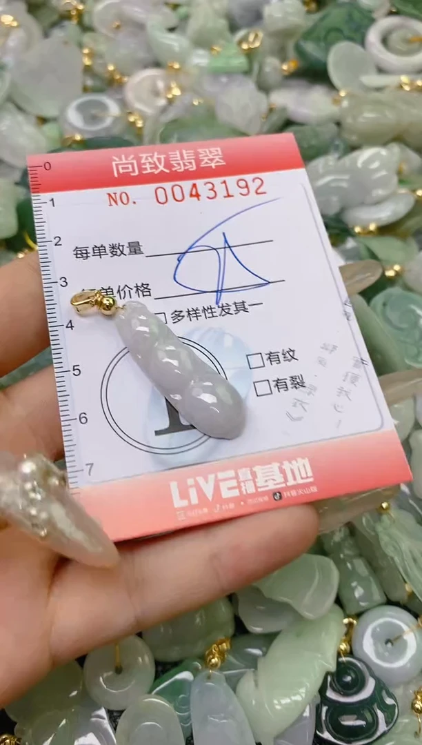 【闪购商品】翡翠颈饰未镶嵌闪购0043192