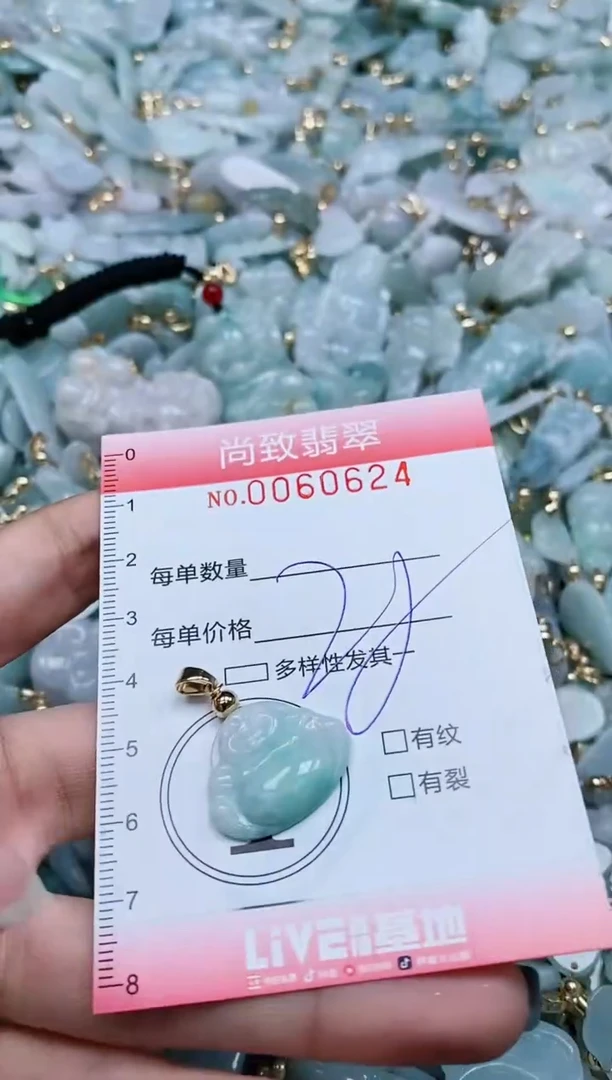 【闪购商品】翡翠颈饰未镶嵌闪购0060624