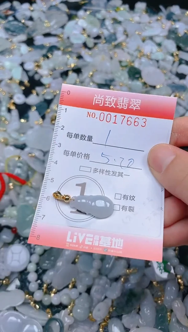 【闪购商品】翡翠颈饰未镶嵌闪购0017663