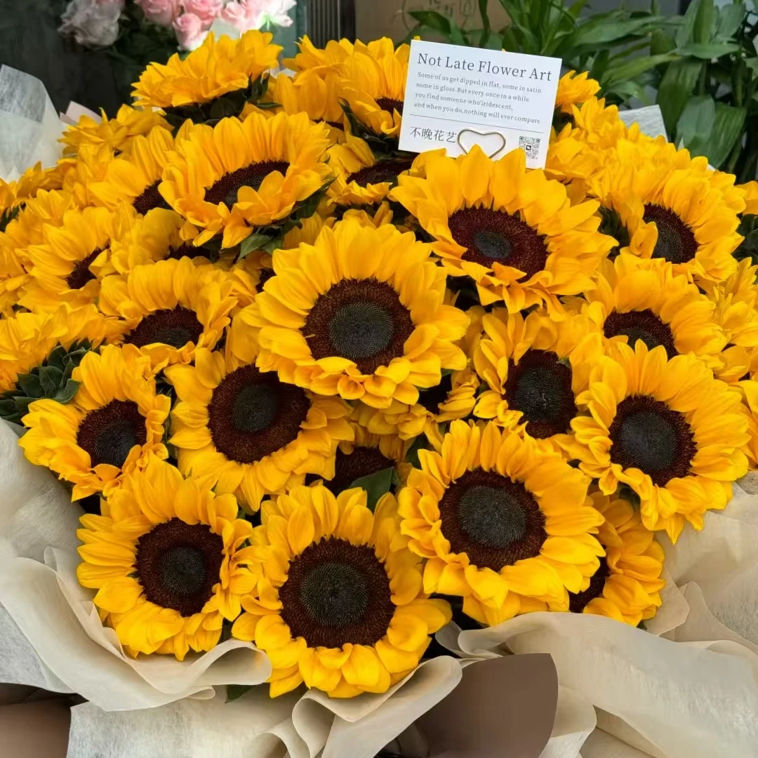 【向日葵】云南鲜切花基地直发   日常插瓶养护