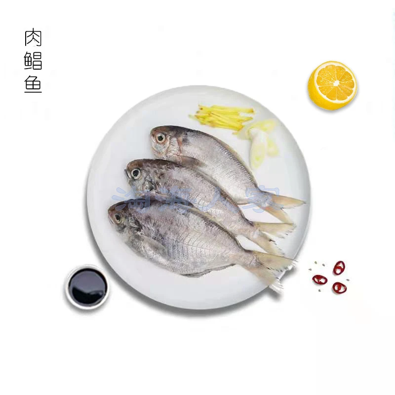 淘海人家【船冻野生肉鲳鱼】寄顺丰