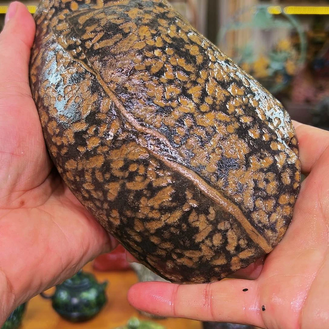 米粒饱满细腻饱满