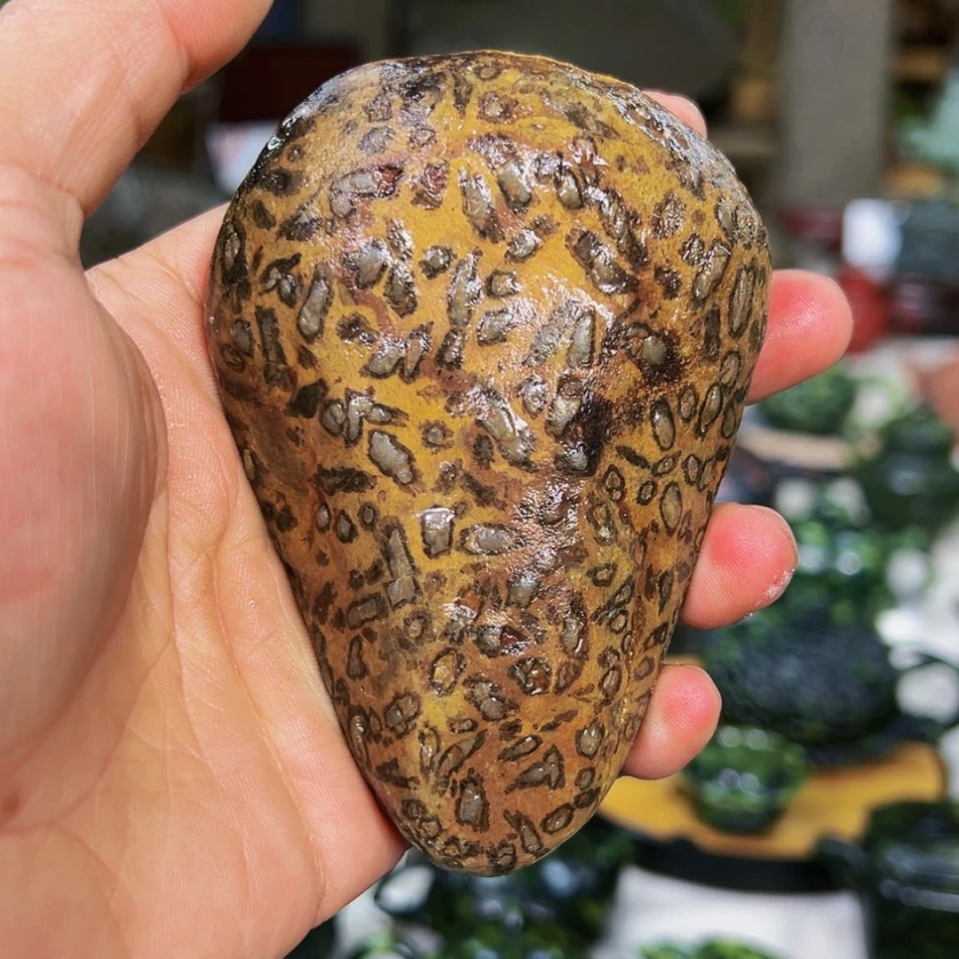 【闪购商品】米粒石缘**此