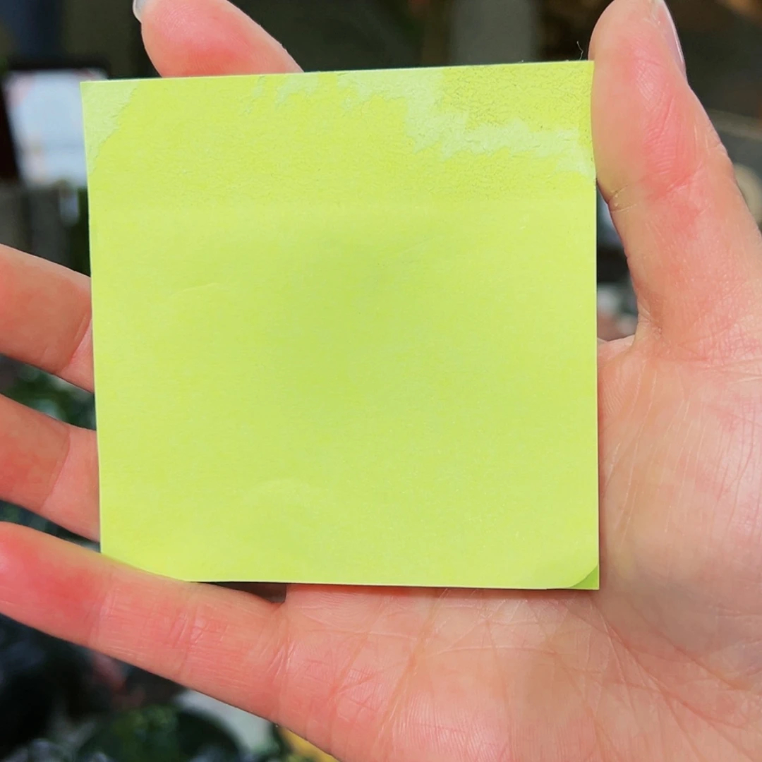 【闪购商品】米粒石又*了