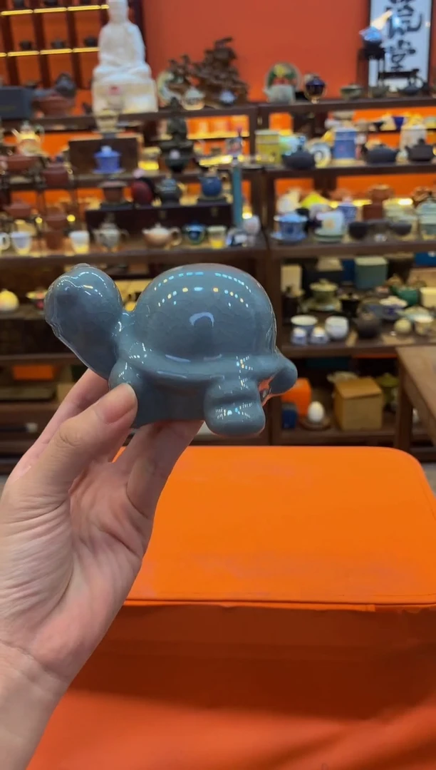 【闪购商品】@@乌龟