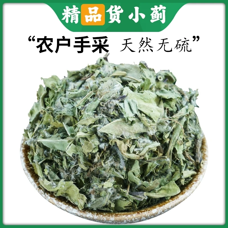 小蓟刺儿菜猫蓟青刺蓟刺菜刺草干猫刺角菜小计非野生中药材鱼腥草