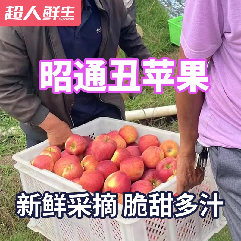 云南昭通丑苹果5斤