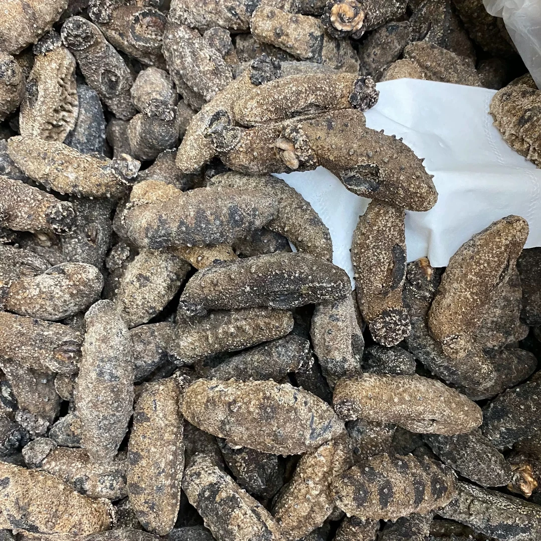 红球干海参/500g