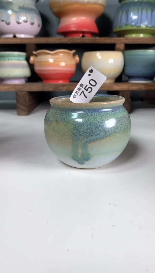 【闪购商品】瓷瓶750