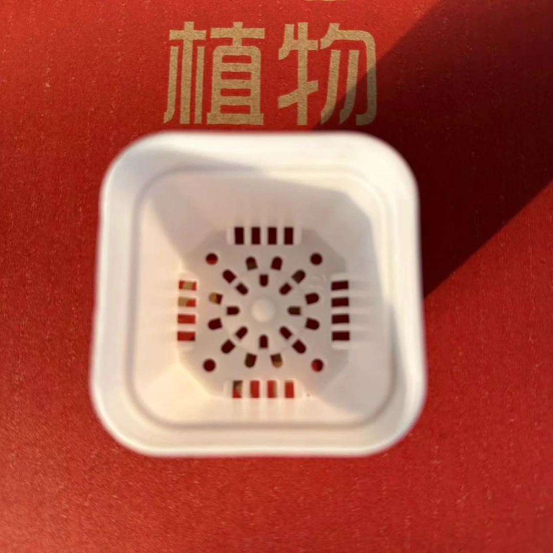20个方盆加厚多肉小方形盆白色创意多肉花盆简约塑料绿植多肉盆栽
