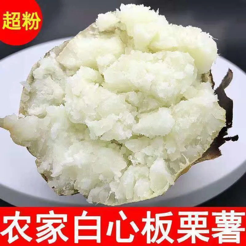23年现挖新鲜红薯红皮白心红薯干面粉糯红薯香甜地瓜番薯包邮