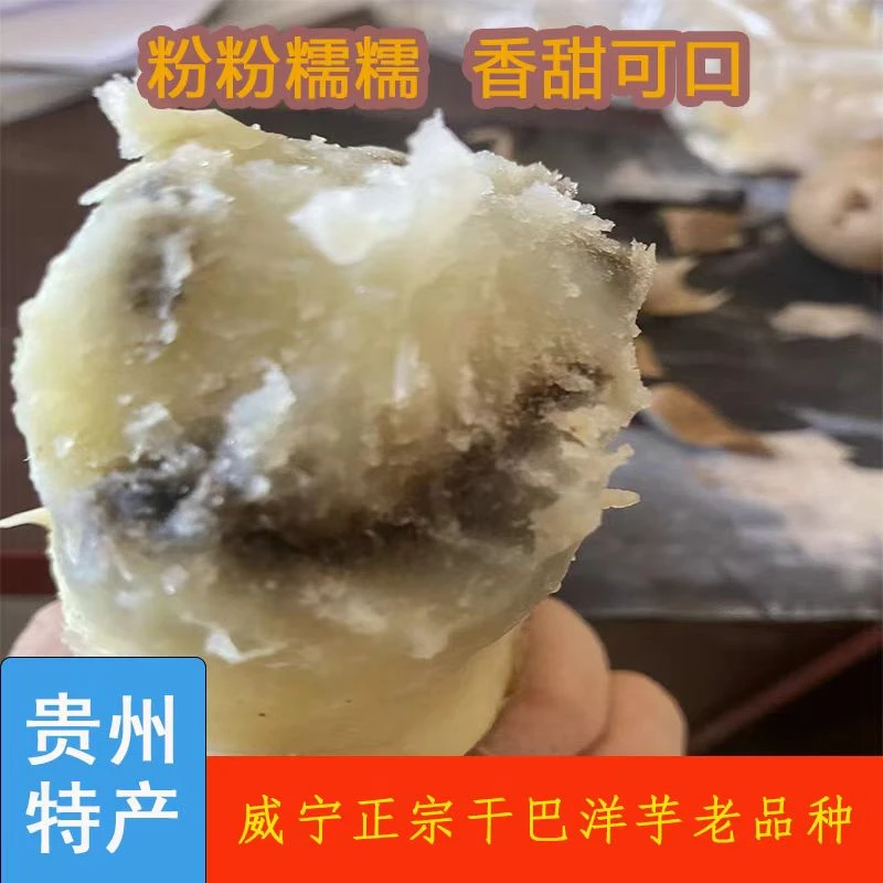 威宁干巴洋芋老土豆马铃薯白皮白心土豆老品种洋芋农家自种土豆