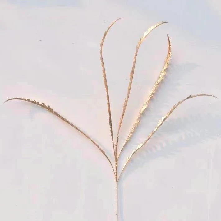 【1帮1】5枝芒草年宵花花店花束花艺包花纸包花纸