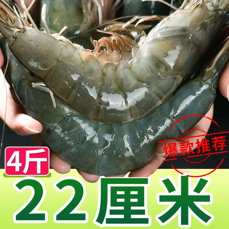 4斤青岛大虾大虾鲜活新鲜海鲜特大大虾商用基围虾非盐冻大虾海捕