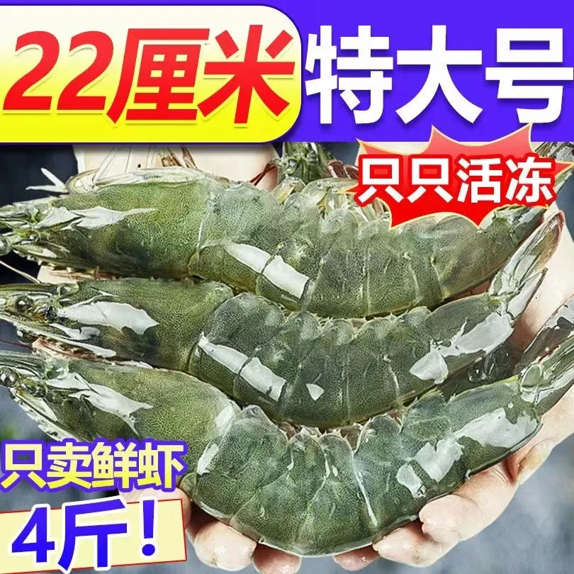 【超大超肥】特大虾鲜活新鲜冷冻虾子批发一整箱青虾基围虾海鲜海捕