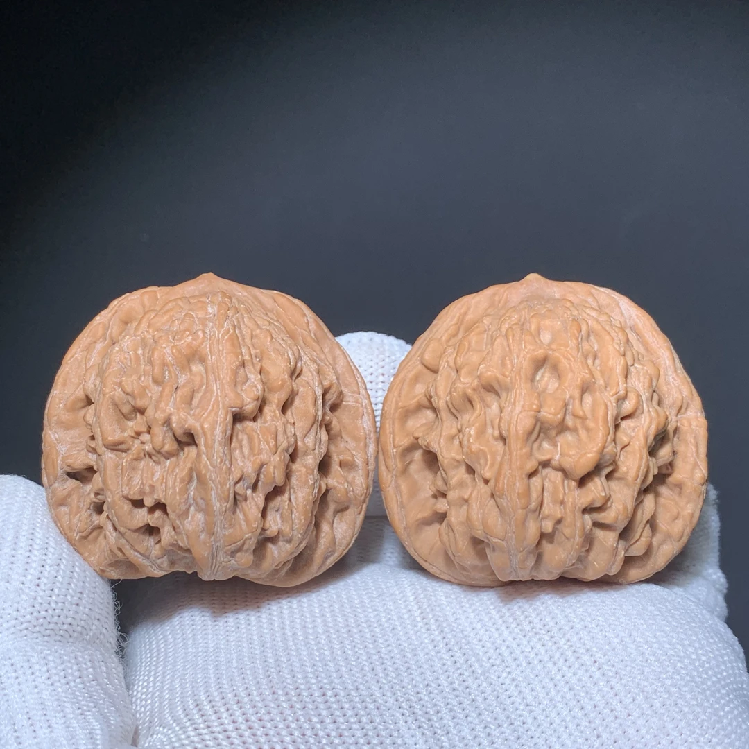 粗筋虎头麻核桃（深清x）
