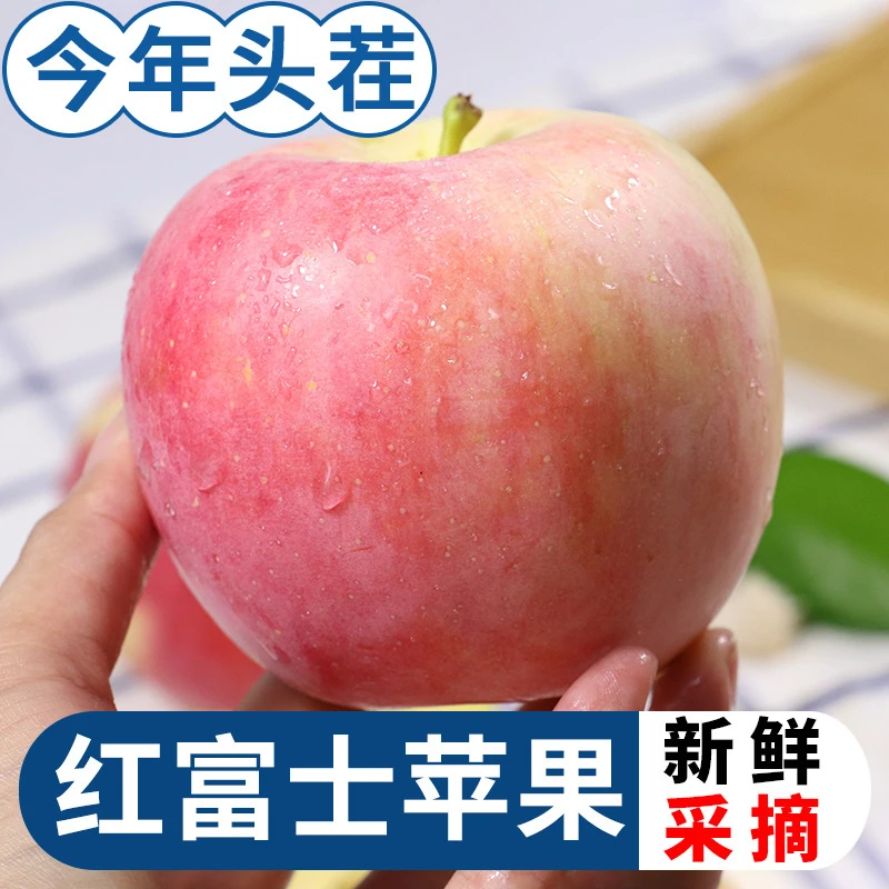 【坏果包赔】陕西红富士苹果新鲜应季水果单果70-80mm带箱5斤yz