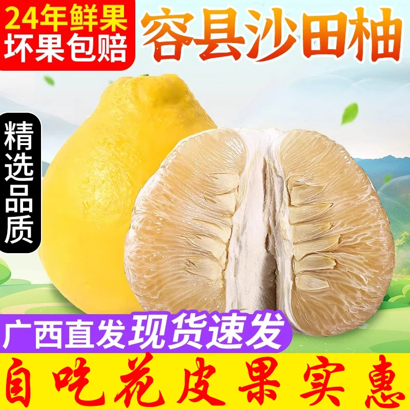 【花皮果】正宗容县沙田柚广西特产纯甜不酸白心柚子新鲜水果非香柚