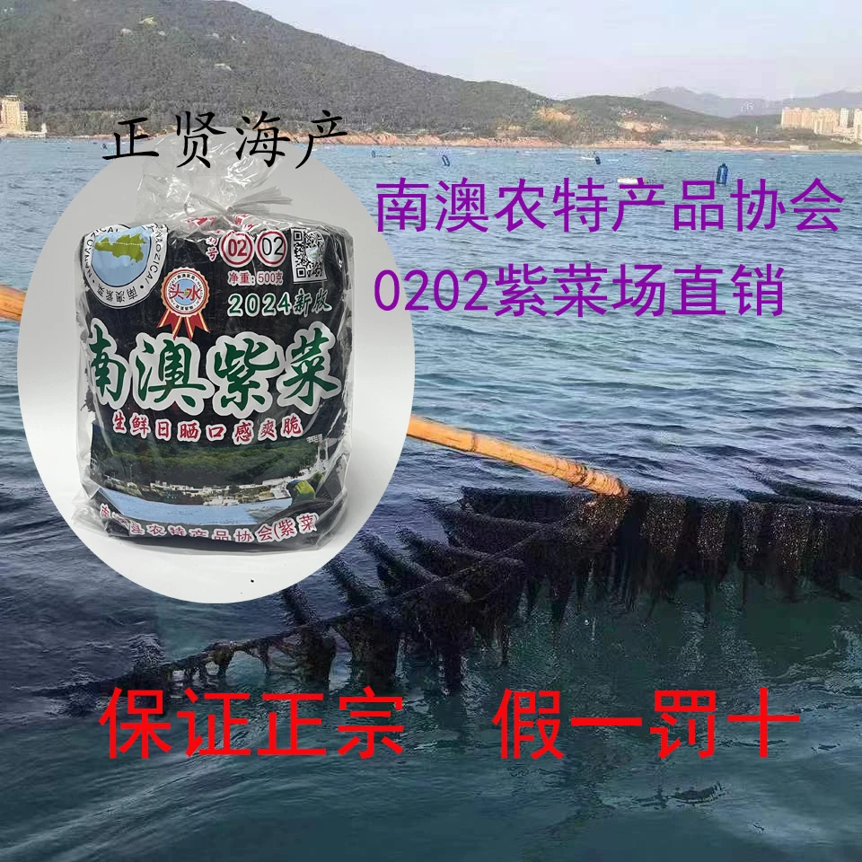 2024南澳特产正南澳紫菜养殖无沙免洗紫菜速食日晒紫菜