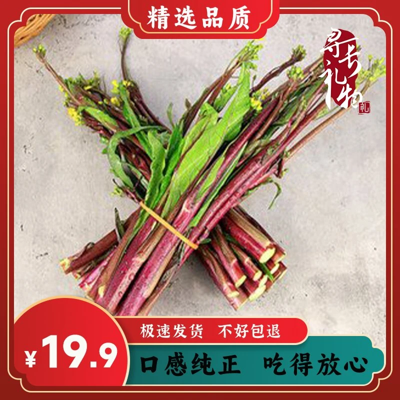 长阳高山红菜苔5斤装