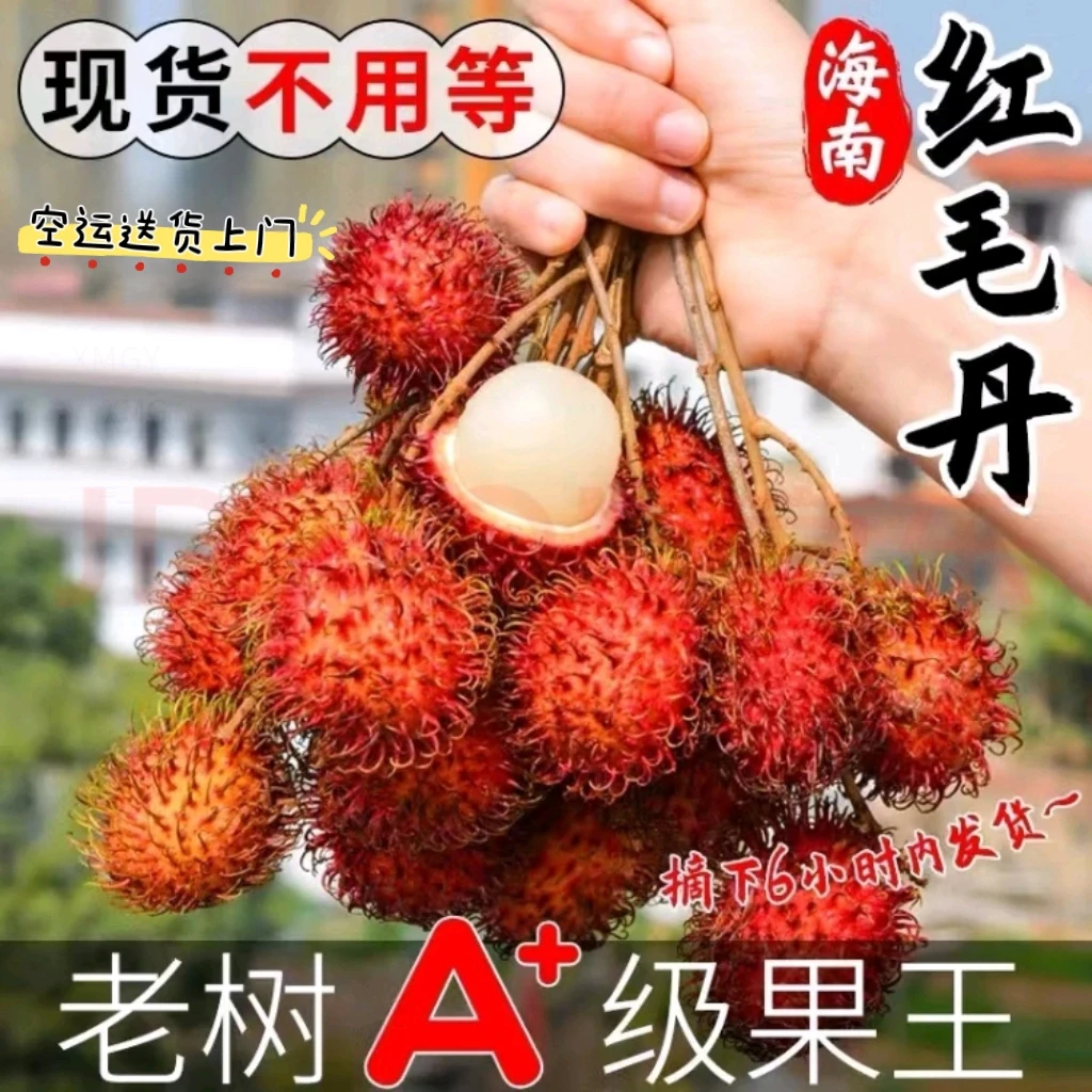 【空运速发】正宗海南保亭红毛丹七号果爆甜多汁产地直发现摘现发