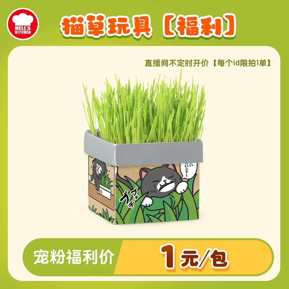猫草福利｜ 地狱厨房懒人猫草化毛吐毛球促进消化宠物盆栽【官旗】