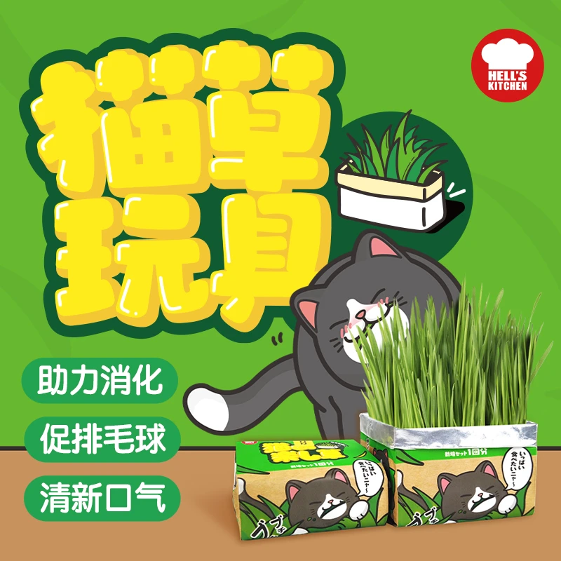 地狱厨房新品懒人猫草罐头化毛吐毛球促进消化便利栽培宠物盆栽
