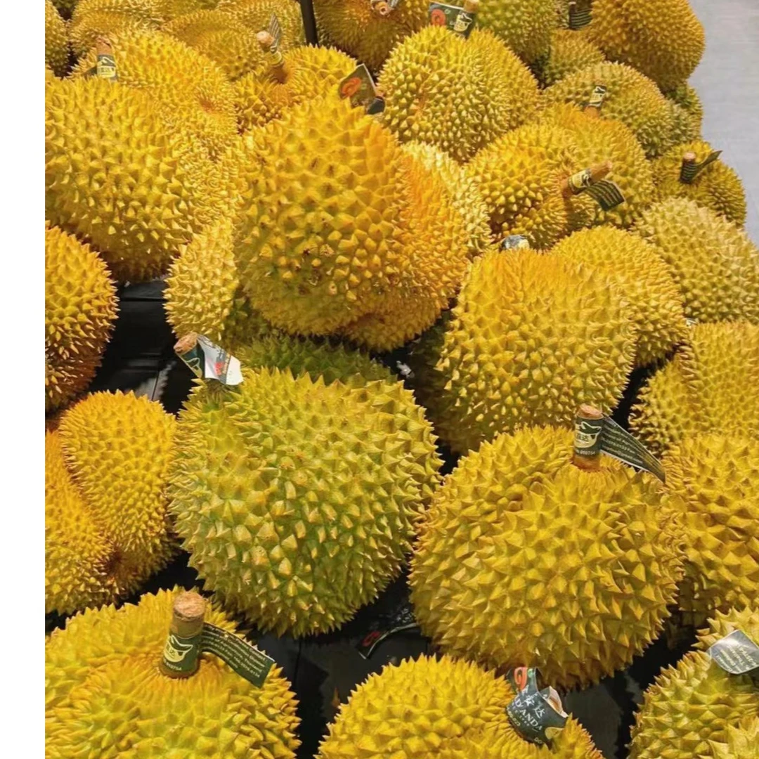 榴莲 榴莲肉 600克  冷冻的